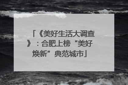 《美好生活大调查》：合肥上榜“美好焕新”典范城市