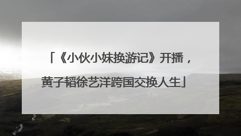 《小伙小妹换游记》开播，黄子韬徐艺洋跨国交换人生