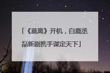 《莫离》开机，白鹿丞磊新剧携手谋定天下