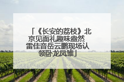 《长安的荔枝》北京见面礼趣味盎然 雷佳音岳云鹏现场认领卧龙凤雏