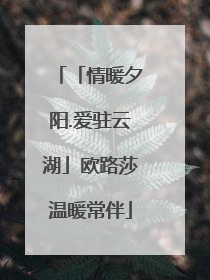 「情暖夕阳.爱驻云湖」欧路莎温暖常伴