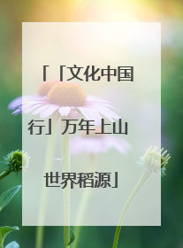 「文化中国行」万年上山 世界稻源