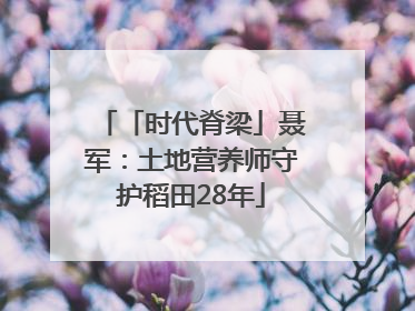 「时代脊梁」聂军：土地营养师守护稻田28年