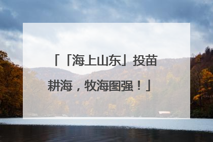 「海上山东」投苗耕海，牧海图强！