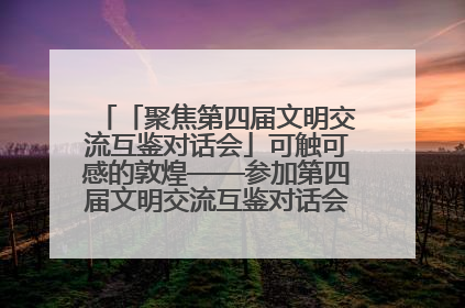 「聚焦第四届文明交流互鉴对话会」可触可感的敦煌——参加第四届文明交流互鉴对话会的外宾参观上元市集
