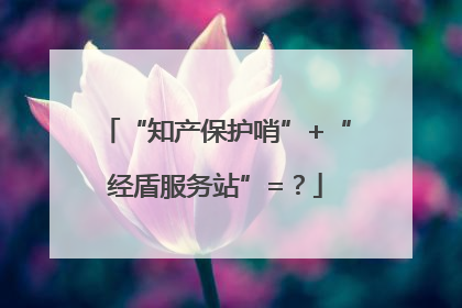“知产保护哨”+“经盾服务站”=？