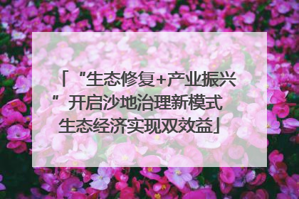 “生态修复+产业振兴”开启沙地治理新模式 生态经济实现双效益