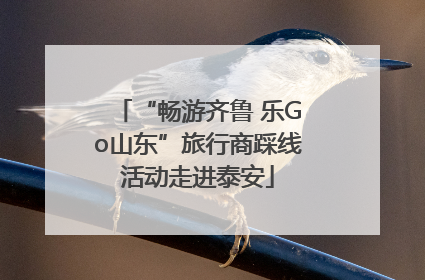“畅游齐鲁 乐Go山东”旅行商踩线活动走进泰安