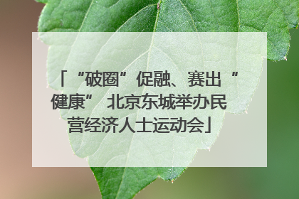 “破圈”促融、赛出“健康” 北京东城举办民营经济人士运动会