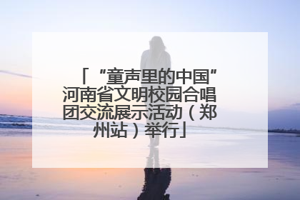 “童声里的中国”河南省文明校园合唱团交流展示活动（郑州站）举行