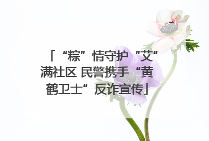 “粽”情守护“艾”满社区 民警携手“黄鹤卫士”反诈宣传