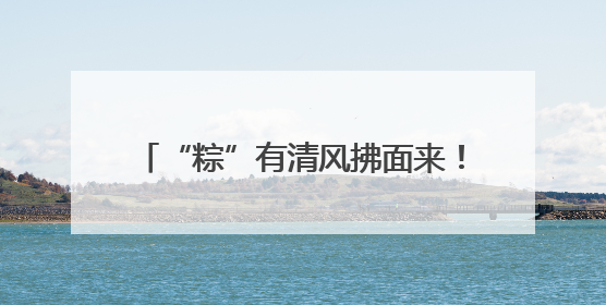“粽”有清风拂面来！五社联动共织清风网