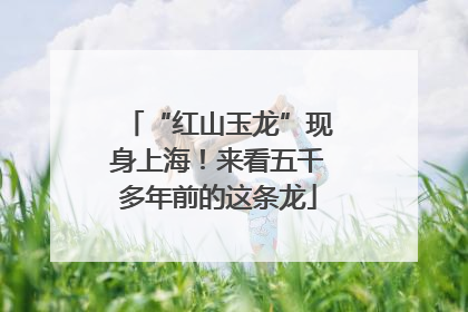 “红山玉龙”现身上海！来看五千多年前的这条龙
