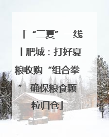 “三夏”一线丨肥城：打好夏粮收购“组合拳” 确保粮食颗粒归仓