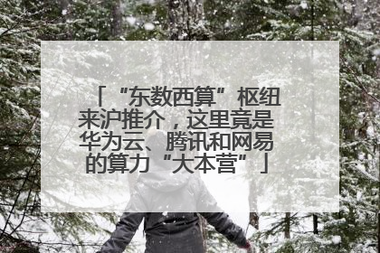 “东数西算”枢纽来沪推介，这里竟是华为云、腾讯和网易的算力“大本营”