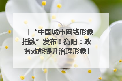 “中国城市网络形象指数”发布！衡阳：政务效能提升治理形象