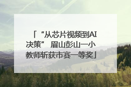 “从芯片视频到AI决策” 眉山彭山一小教师斩获市赛一等奖