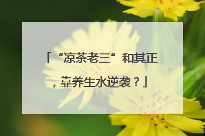 “凉茶老三”和其正，靠养生水逆袭？