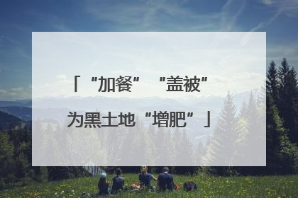 “加餐”“盖被” 为黑土地“增肥”