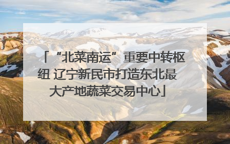 “北菜南运”重要中转枢纽 辽宁新民市打造东北最大产地蔬菜交易中心