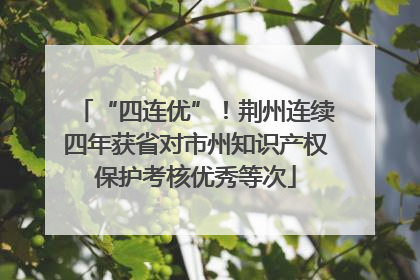 “四连优”！荆州连续四年获省对市州知识产权保护考核优秀等次