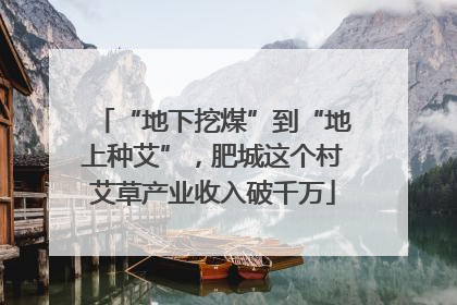 “地下挖煤”到“地上种艾”，肥城这个村艾草产业收入破千万