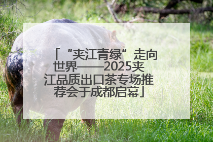 “夹江青绿”走向世界——2025夹江品质出口茶专场推荐会于成都启幕