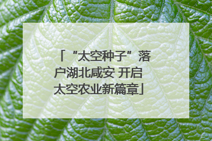 “太空种子”落户湖北咸安 开启太空农业新篇章