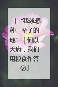 “我就想种一辈子的地”｜何以天府，我们用粮食作答②