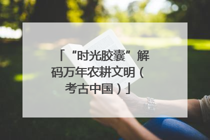 “时光胶囊”解码万年农耕文明（考古中国）