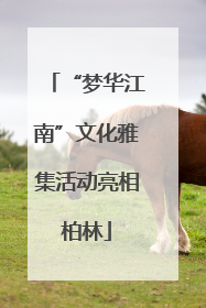 “梦华江南”文化雅集活动亮相柏林
