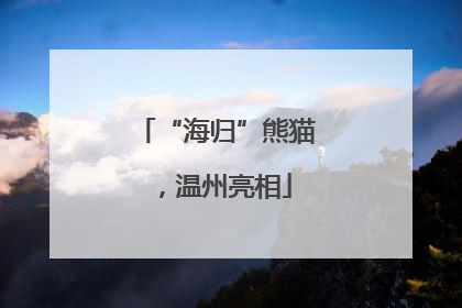 “海归”熊猫，温州亮相
