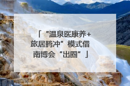 “温泉医康养+旅居腾冲”模式借南博会“出圈”