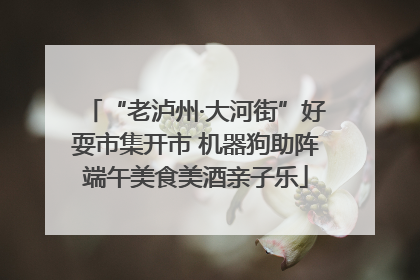 “老泸州·大河街”好耍市集开市 机器狗助阵端午美食美酒亲子乐