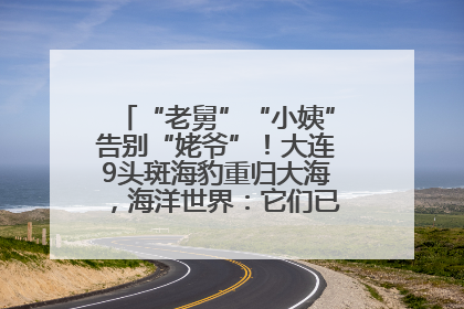 “老舅”“小姨”告别“姥爷”！大连9头斑海豹重归大海，海洋世界：它们已具备野外生存能力