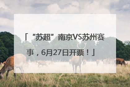 “苏超”南京VS苏州赛事，6月27日开票！