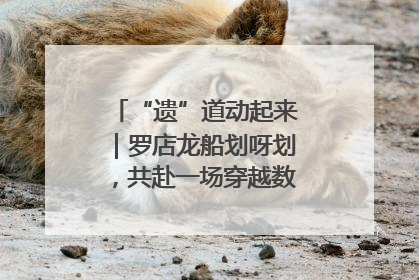“遗”道动起来｜罗店龙船划呀划，共赴一场穿越数百年的端午之约