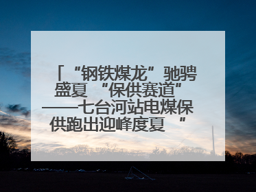 “钢铁煤龙”驰骋盛夏 “保供赛道”——七台河站电煤保供跑出迎峰度夏 “加速度”