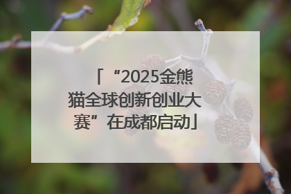 “2025金熊猫全球创新创业大赛”在成都启动