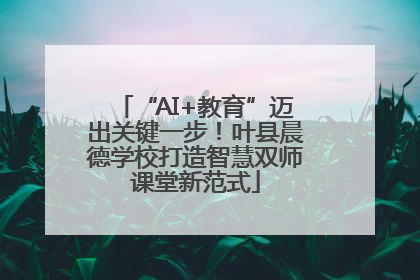 “AI+教育”迈出关键一步！叶县晨德学校打造智慧双师课堂新范式