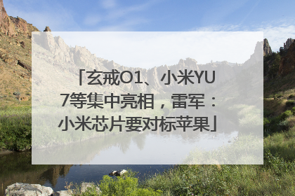 玄戒O1、小米YU7等集中亮相，雷军：小米芯片要对标苹果