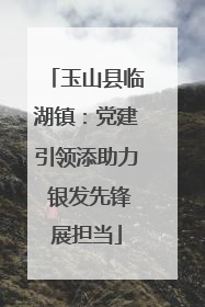 玉山县临湖镇：党建引领添助力 银发先锋展担当