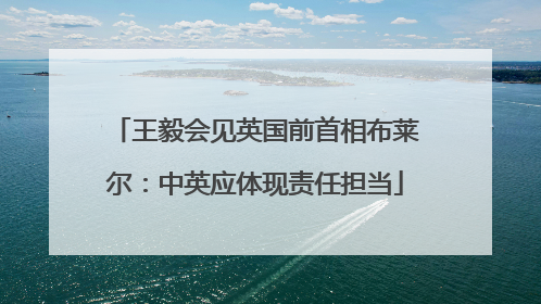 王毅会见英国前首相布莱尔：中英应体现责任担当