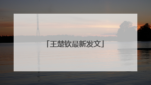 王楚钦最新发文