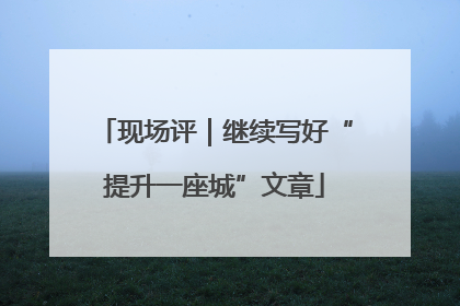 现场评｜继续写好“提升一座城”文章