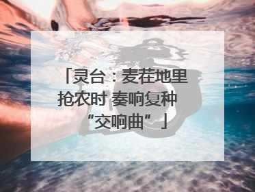 灵台：麦茬地里抢农时 奏响复种“交响曲”