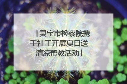 灵宝市检察院携手社工开展夏日送清凉帮教活动
