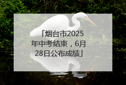 烟台市2025年中考结束，6月28日公布成绩