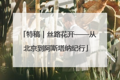 特稿｜丝路花开——从北京到阿斯塔纳纪行