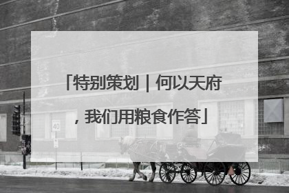 特别策划｜何以天府，我们用粮食作答